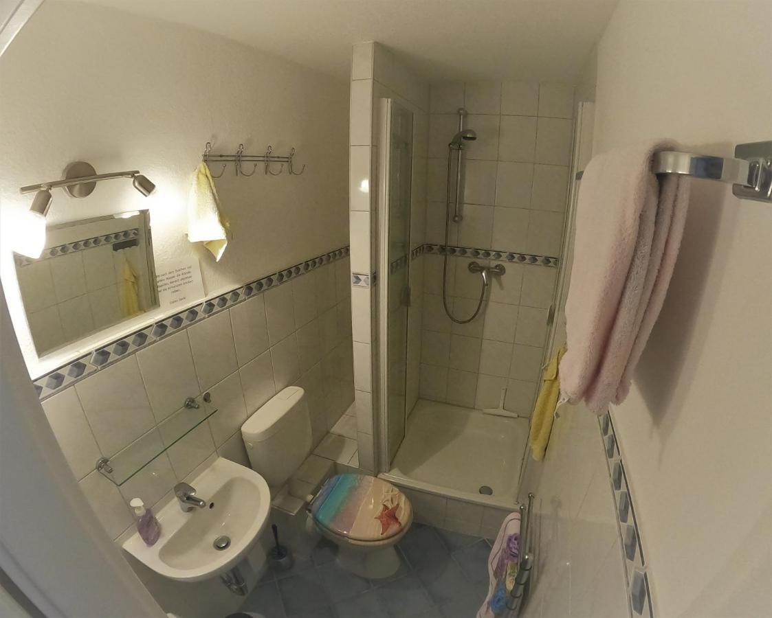 Ferienwohnung Haubner Neukieritzsch Exteriör bild